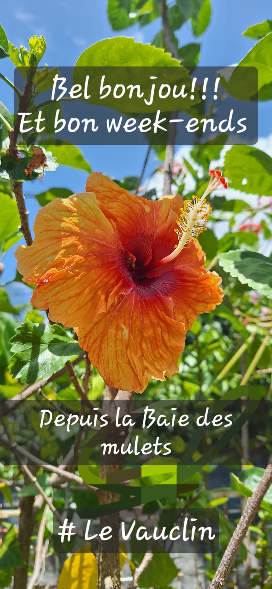 Holiday home on the island